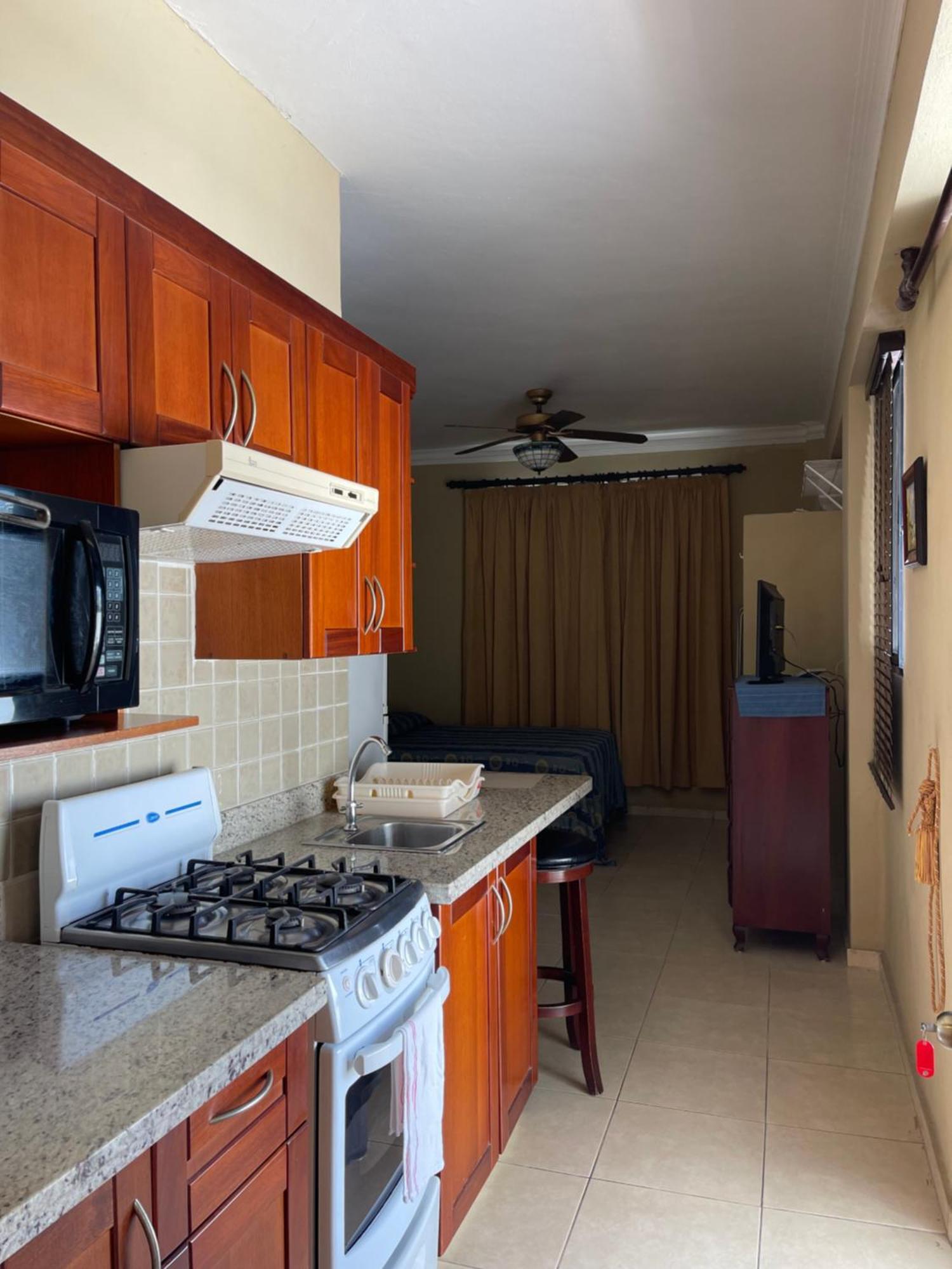Apartahotel Alvear Санто-Доминго Экстерьер фото